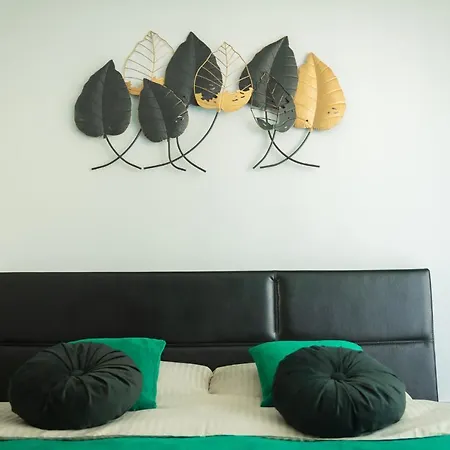 Apartmán Vibe Brašov