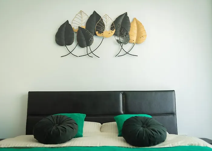 公寓 Vibe 布拉索夫