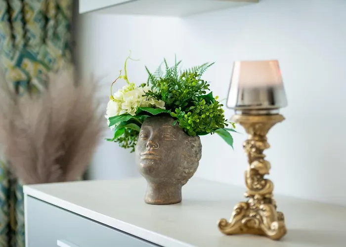 公寓 Vibe 布拉索夫